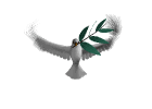 holubice.gif, 13 kB
