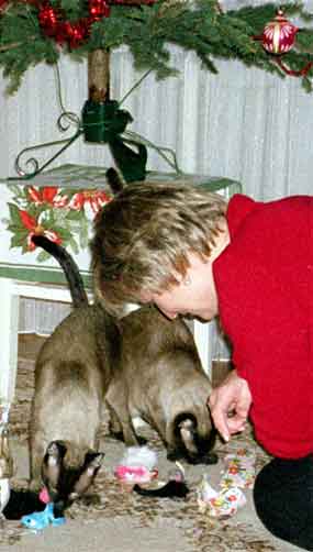 Kocou�� V�noce (15 kB)