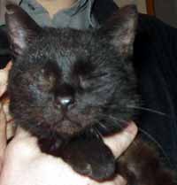 Cicero v n�ru�� (5 kB)