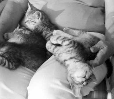 Na kl�n� m� maminky se to ko�at�m l�bilo (11 kB)