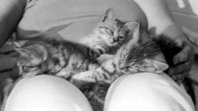 T�i ko�ata na kl�n� m� maminky (7 kB)