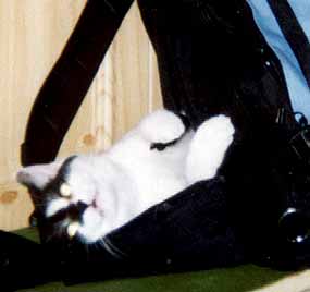 Maj�inka le�� za batohem (7 kB)