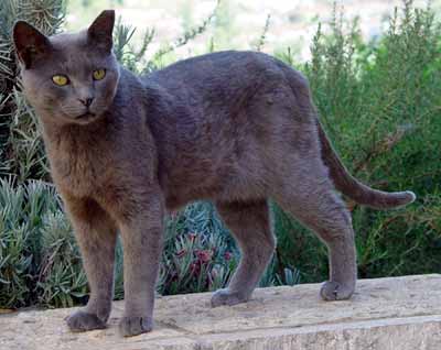 V�te co je to b�lostn� padl� sn�h? Tak se dob�e d�vejte (15 kB)