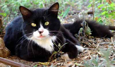 Tak fotografuj a po��dn� m� chlupy zaost�i! (15 kB)