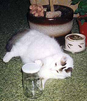 Hra s no�n� m�rou ve sklenici (17 kB)