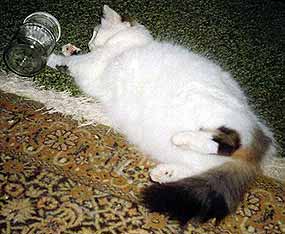 Hra s no�n� m�rou ve sklenici (14 kB)