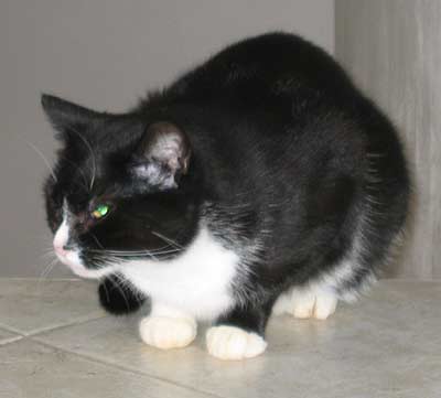 Mike�ka ��h� na schodech - F� (10 kB)