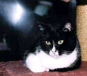 Mike�ka na �plhadle (7 kB)