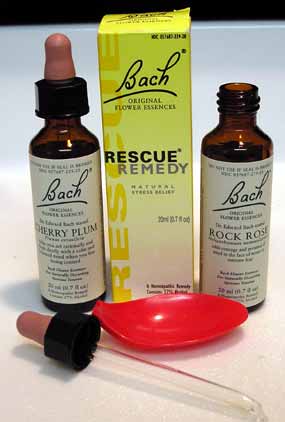 Kapky Bachovy kv�tov� terapie (13 kB)