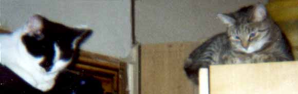 Mark�tka a M�ou v 'horn�ch patrech' (7 kB)