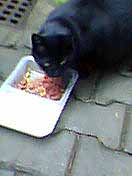 Pepina u svoj� mysky (3 kB)