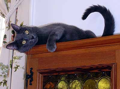 Smoky r�da leh� na kredenci (15 kB)