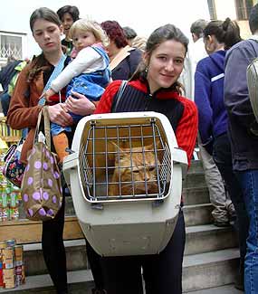 'Kocourek je m�j' - z V�stavy pro ko�ku (18 kB)