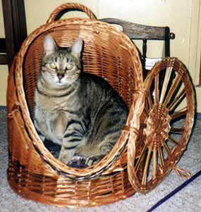 Oskar - budka �it� na m�ru (17 kB)