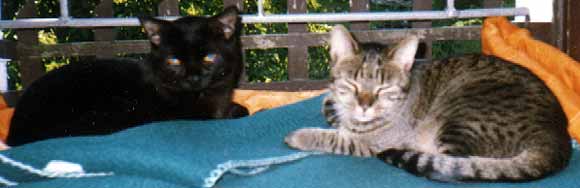 Prcek a �apinka na chalup� (14 kB)