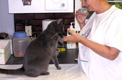 Smoky d�v� pac (11 kB)