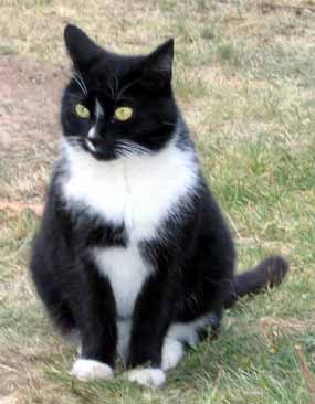 �inda zase p�zuje (13 kB)