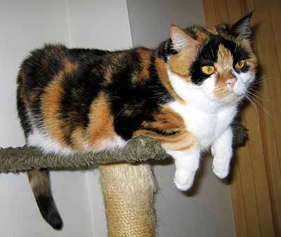 Nen� nad pozorov�n� z v��ky (15 kB)