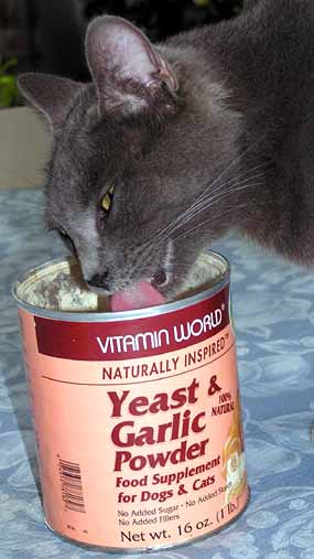 Smoky l�e dro��ovou mou�ku p��mo z plechovky (20 kB)