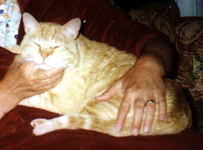 Zrze�ek na m�m kl�n� (11 kB)