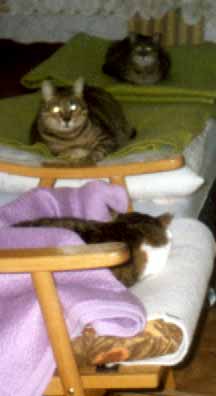 Na k�esle ��a, na posteli Osk�rek a Ka�enka (8 kB)