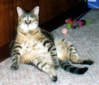 Ka�enka ukazuje svoje b��ko (9 kB)