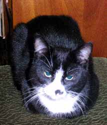 �ert�k �ek� (8 kB)