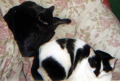 Majk� sd�l� lo�e s Fil�pkem (12 kB)