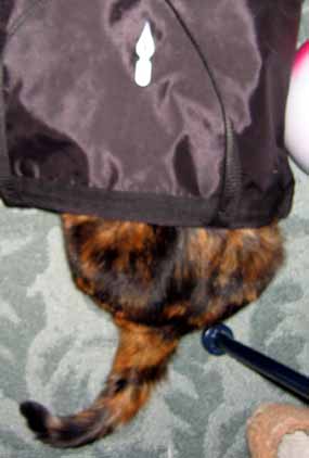 Dumka v ta�ce - foceno ze zhora (11 kB)