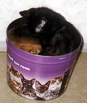 Prcek sch�n� n�co na zub (10 kB)