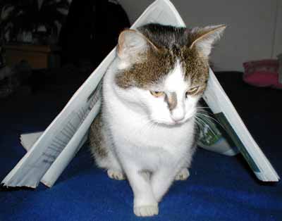 �ert�kova variace na t�ma noviny (11 kB)