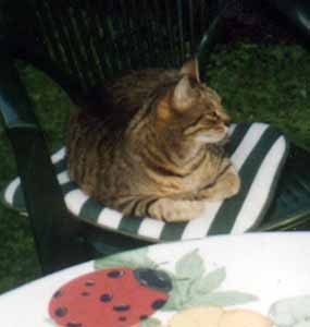 Na �idli u stolku (7 kB)