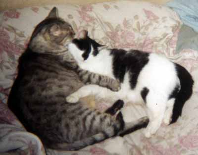 Mark�ta se �imonem v ob�t� (11 kB)