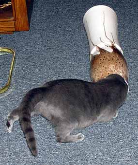 N�kdy dalo pr�ci m��ek zase vydolovat ven (18 kB)