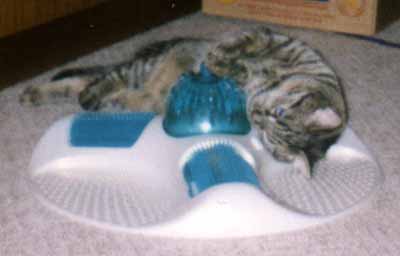 Kry�tof se mazl� s hra�kou (8 kB)