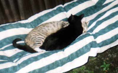 Prcek a Kry�tof na postelov� zahradn� houpa�ce (12 kB)