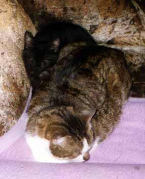 �i�inka s Prckem na k�esle (11 kB)