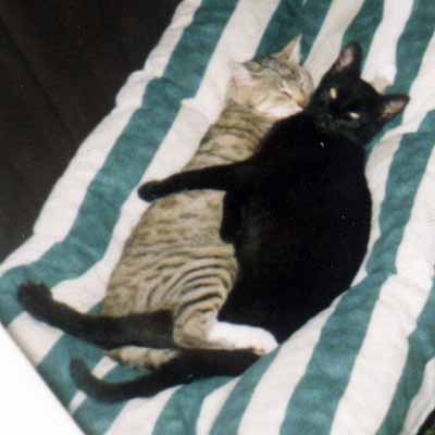 Mamu�a v mate�sk�m ob�t� se synem (13 kB)