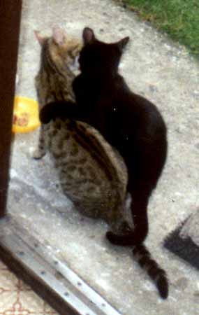 Mamu�a se synem Z�visl�kem (12 kB)