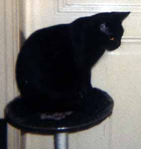 Filip na '�plhadle' u dve�� (6 kB)