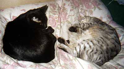 Filip odpo��v� se �imonem v m� posteli (12 kB)