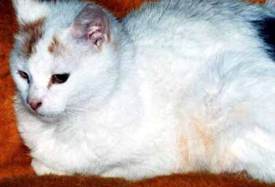 Emilka je fe�anda (10 kB)