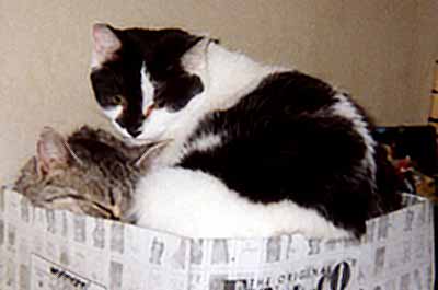 Mark�ta a �imon v krabici od bot (10 kB)