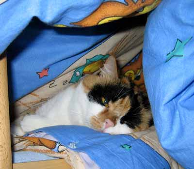 Dumka zalehla Barunce post�lku (15 kB)