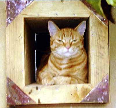 R�zinka v tunelu dve�� (17 kB)