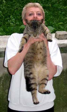 Sybil a j� (15 kB)