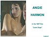 Angie Harmon4.jpg