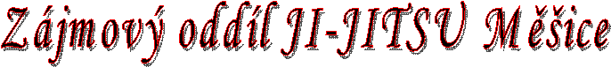 Z�jmov� odd�l JI-JITSU M�ice