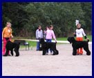 Ariela, Dolly, Blacky