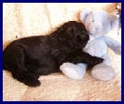 Casper 4 t�dny